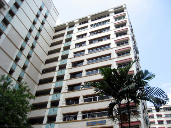 Blk 507 Elias Parks Estate (Pasir Ris), HDB Executive #134582